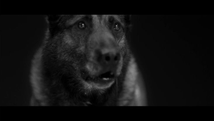 woodkid1