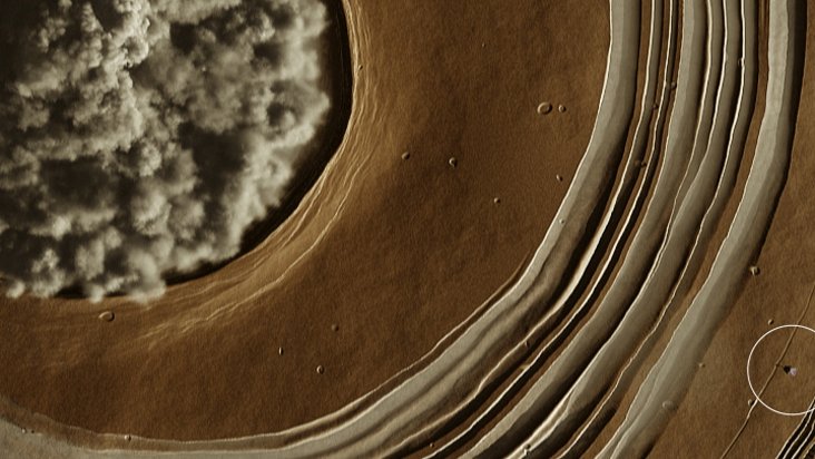 spotcuriosity