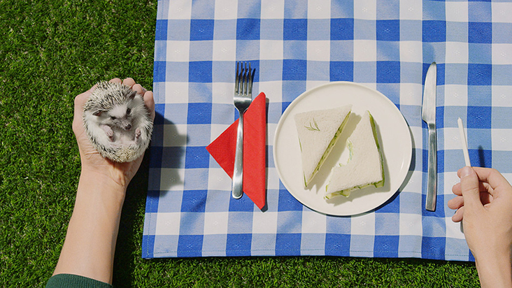 vallee duhamel samsung